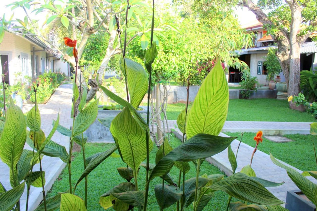 Morning Star Resorts Negombo Exterior foto